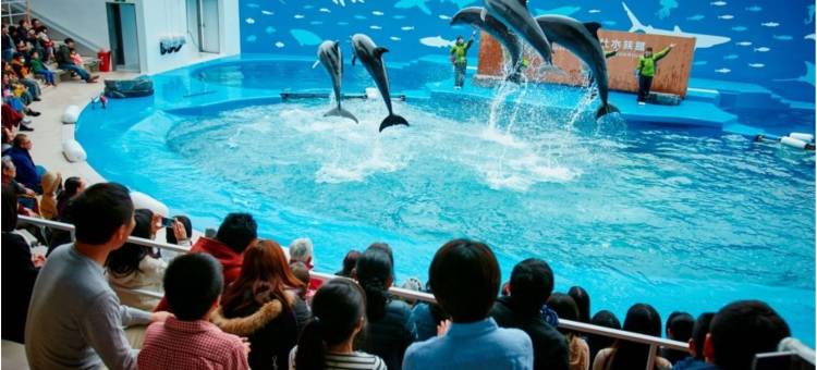 鬼首度假公园酒店(Resort Park Hotel Onikoube)图片