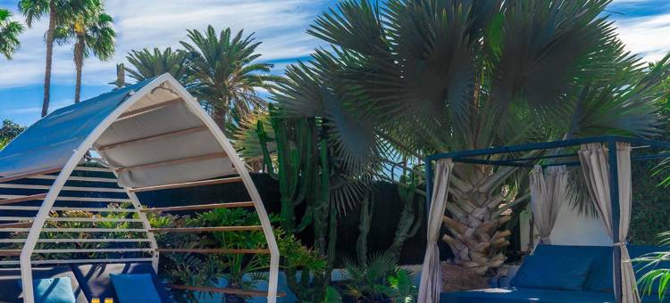 阿克赛尔海滩玛斯帕洛马斯公寓及休息室俱乐部-仅限成人(AxelBeach Maspalomas - Apartments and Lounge Club - Adults Only)图片