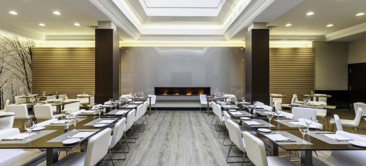 马德里伊鲁尼套房酒店(Ilunion Suites Madrid)图片