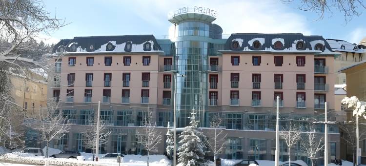 玛丽亚温泉水晶奥雷阿 Spa 酒店(Orea Spa Hotel Cristal)图片