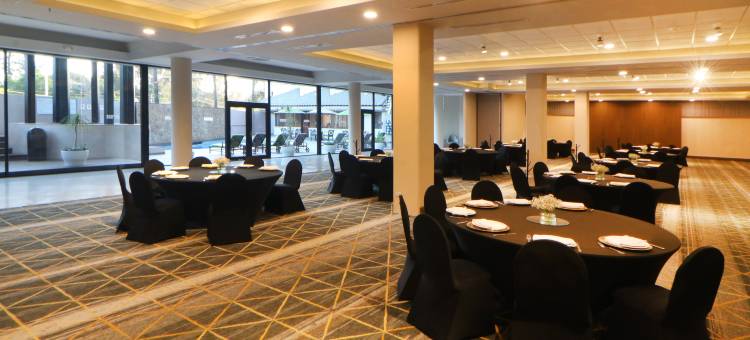 Holiday Inn 提华纳ZONA德尔里奥(Holiday Inn TIJUANA ZONA RIO by IHG)图片