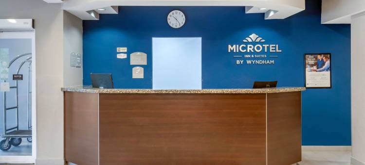 布鲁克斯维尔温德姆麦客达套房酒店(Microtel Inn & Suites by Wyndham Brooksville)图片