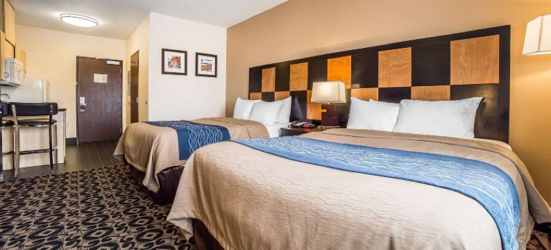 舒适酒店-巴拉德罗斯福(Comfort Inn Ballard-Roosevelt)图片