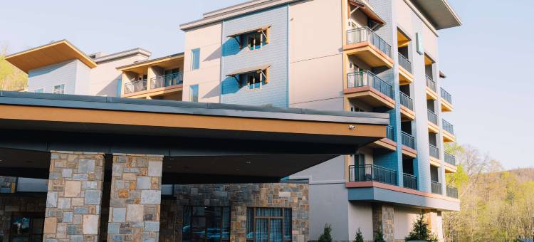 Gatlinburg 希尔顿合博套房酒店(Embassy Suites by Hilton Gatlinburg Resort)图片