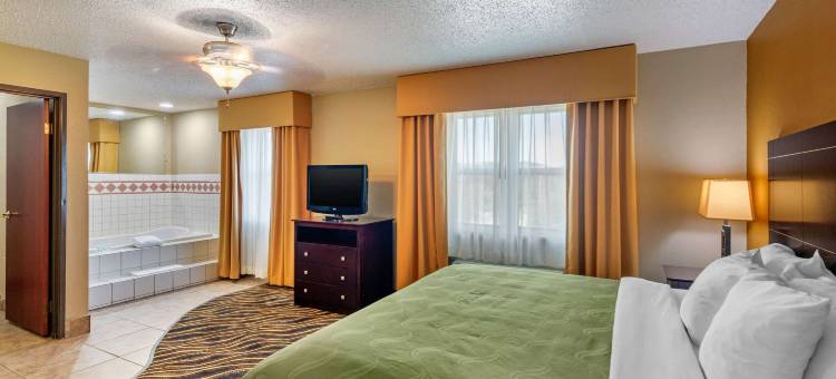 艾迪生-达拉斯品质套房酒店(Quality Suites Addison-Dallas)图片