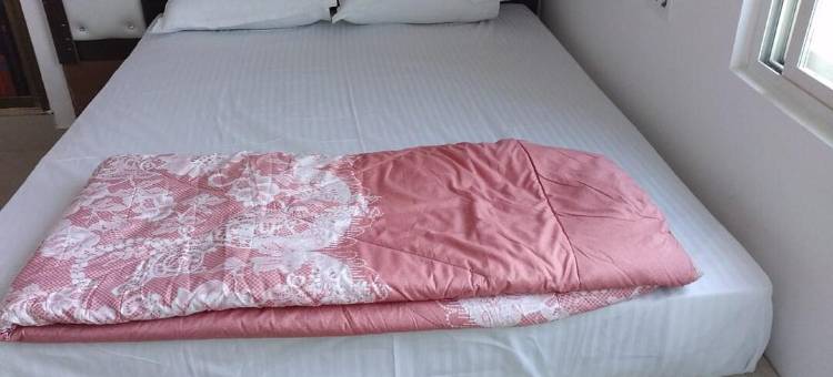 维沙尔酒店和宴会厅(Hotel Vishal)图片