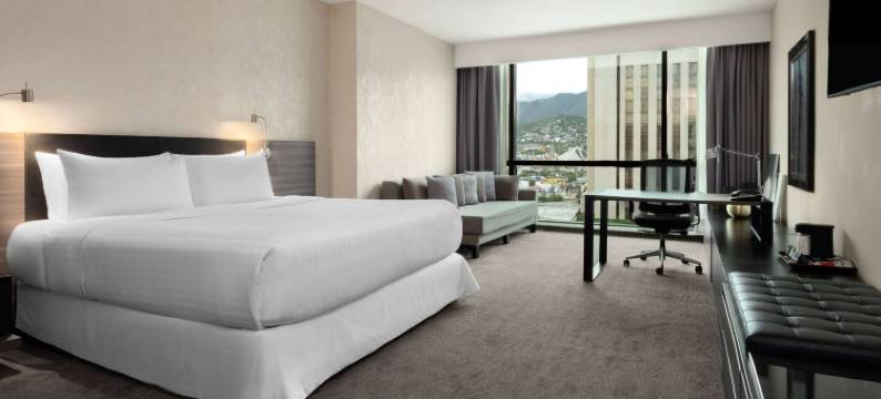 蒙特雷大使中心温德姆酒店(Wyndham Monterrey Ambassador Centro)图片