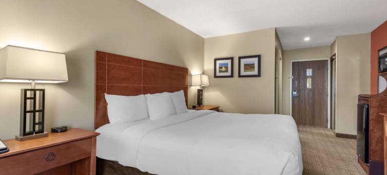 奥古斯塔思域中心舒适酒店(Comfort Inn Civic Center)图片