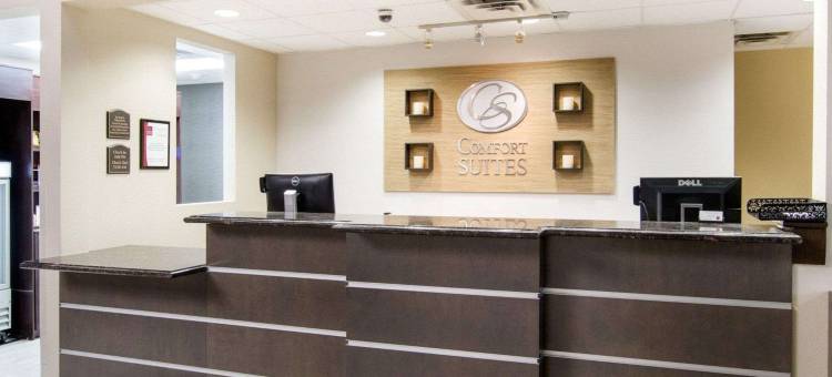 圣安吉洛舒适套房酒店-近大学(Comfort Suites San Angelo Near University)图片