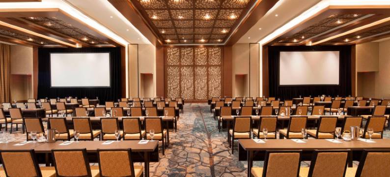 查塔努加威斯汀酒店(The Westin Chattanooga)图片