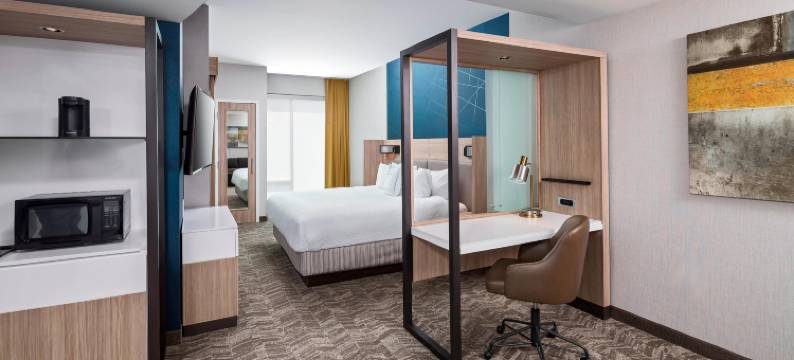 格林维尔市区万豪SpringHill Suites酒店(SpringHill Suites Greenville Downtown)图片