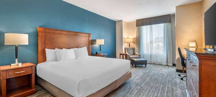 德鲁里广场酒店弗多斯塔(Drury Plaza Hotel Valdosta)图片