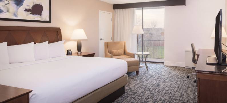 希尔顿逸林酒店-锡拉丘兹(DoubleTree by Hilton Hotel Syracuse)图片