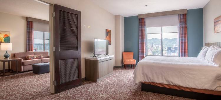 曼凯托希尔顿花园酒店(Hilton Garden Inn Mankato Downtown)图片