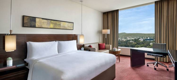 浦那JW万豪酒店(JW Marriott Hotel Pune)图片