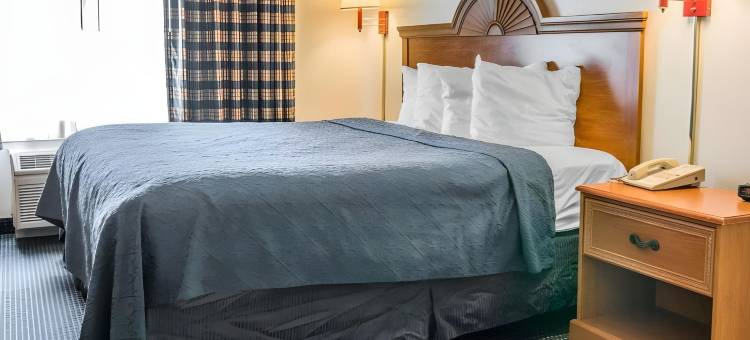 卡拉马祖凯艺酒店(Quality Inn I-94 near Wings Stadium)图片