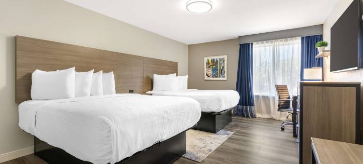 路易斯维尔科佩尔贝斯特韦斯特优质酒店(Best Western Plus Lewisville Flower Mound)图片