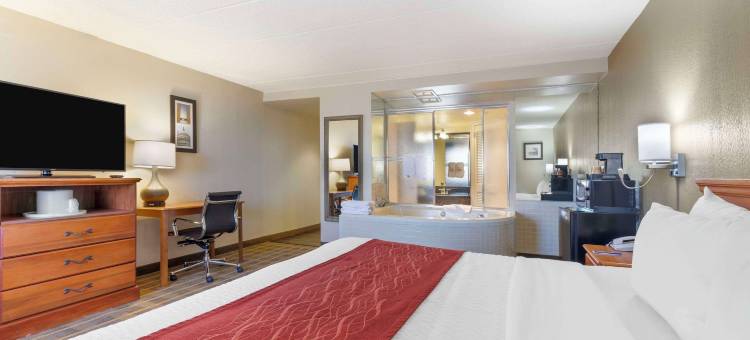 大学中心舒适酒店(Comfort Inn University Center)图片