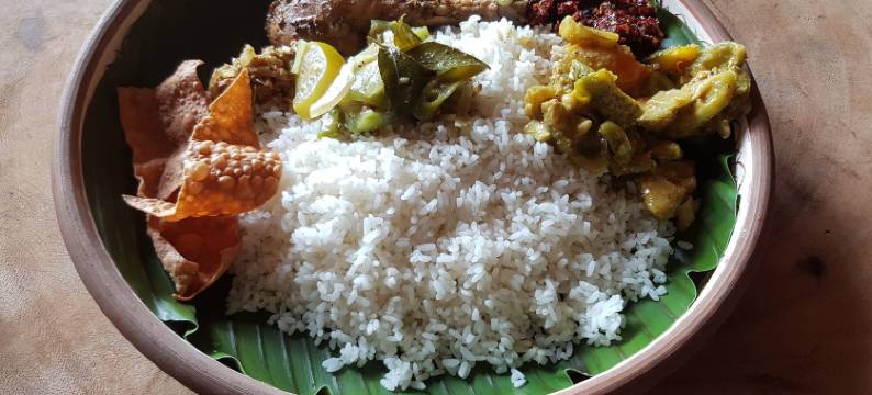 Monara Arana生态村和农场度假村 - 旅舍(Monara Arana Eco Village and Farm Resort - Hostel)图片