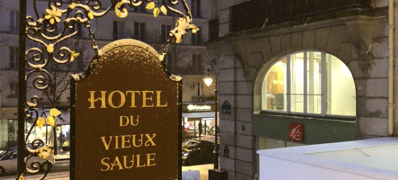威克斯索尔酒店(Hôtel du Vieux Saule)图片