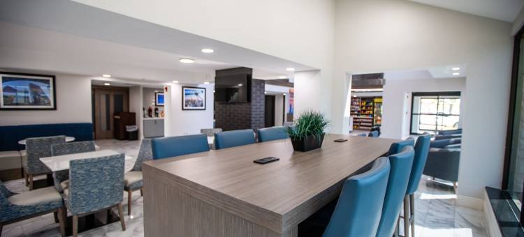 达拉斯I-35胡桃山道拉昆塔温德姆套房酒店(La Quinta Inn & Suites by Wyndham Dallas I-35 Walnut Hill Ln)图片