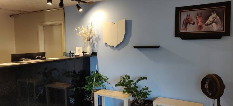 德拉威尔旅游旅馆(Travel Inn)图片