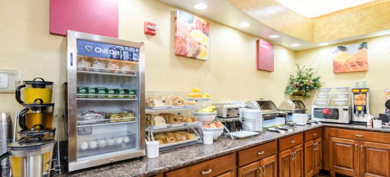 南萨莱纳舒适套房酒店(Comfort Suites Salina South)图片