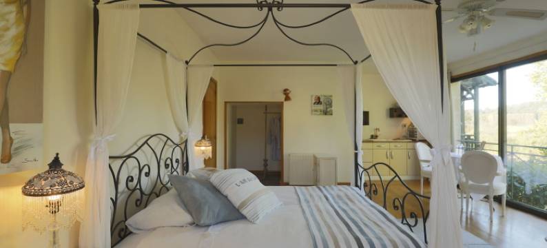 韦泽尔河蓝磨坊酒店(French Corréze Moulin Bleu)图片