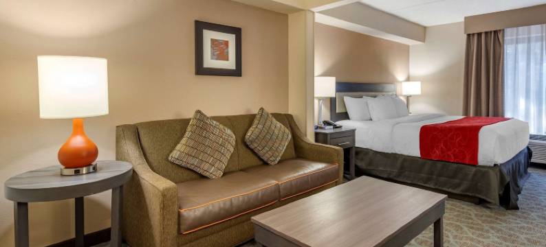 舒适套房酒店(Comfort Suites Alpharetta/Roswell - Atlanta Area)图片