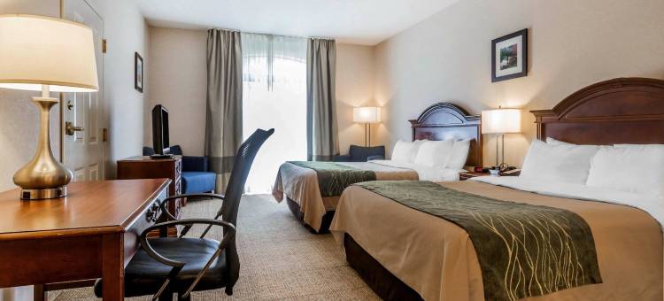 伯灵顿南舒适套房酒店(Comfort Inn & Suites)图片