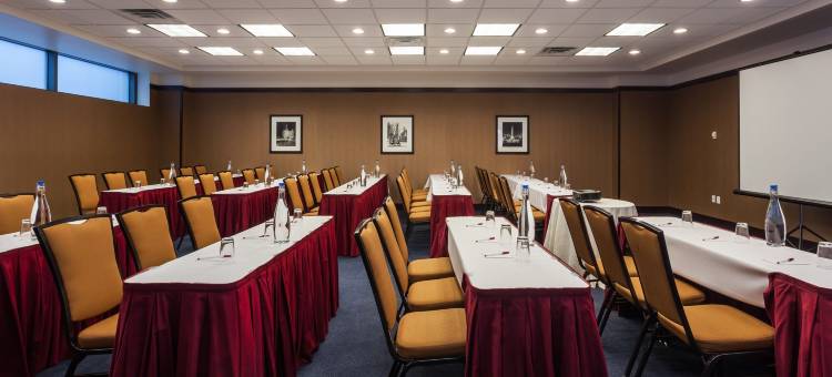 芝加哥市中心／河北岸万豪SpringHill酒店(SpringHill Suites Chicago Downtown/River North)图片