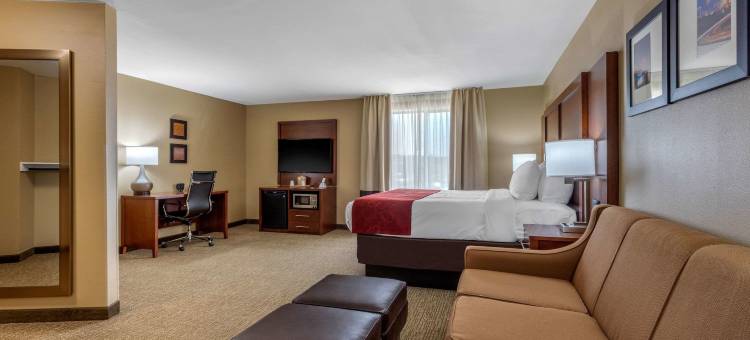 佩勒姆胡佛I-65号舒适套房酒店(Comfort Suites Pelham Hoover I-65)图片