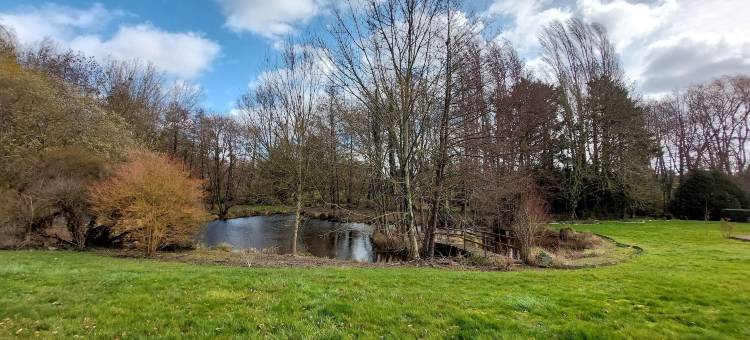 Trainefeuilles(Trainefeuilles酒店)(Trainefeuilles)图片