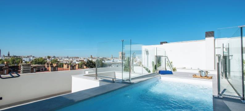 塞尔科特塞维利亚瓜达尔基维尔套房(Sercotel Sevilla Guadalquivir Suites)图片