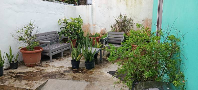 房屋装修2(Dressrosa Guest House)图片