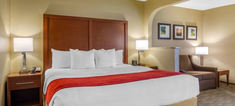 舒适套房酒店(Comfort Inn & Suites)图片