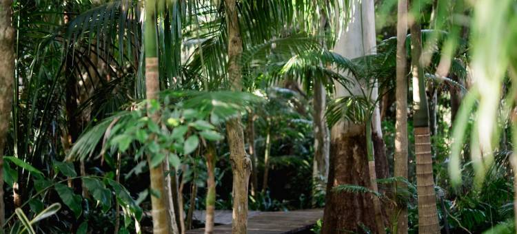 香巴拉庄园(Shambala Estate Cottages)图片