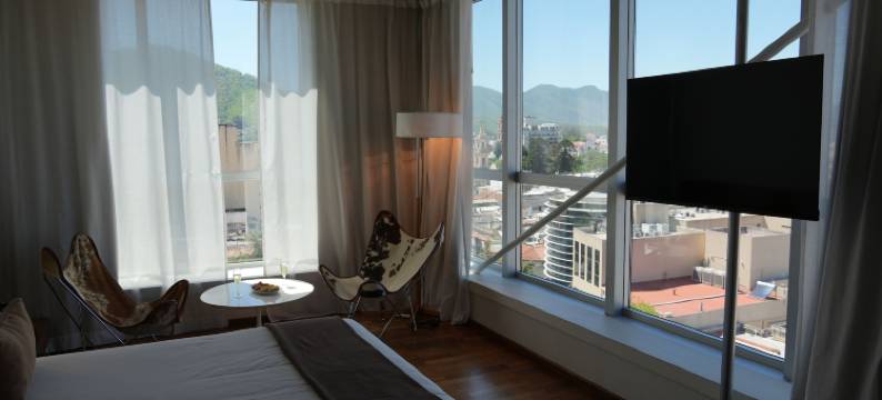 萨尔塔设计型套房酒店(Design Suites Salta)图片