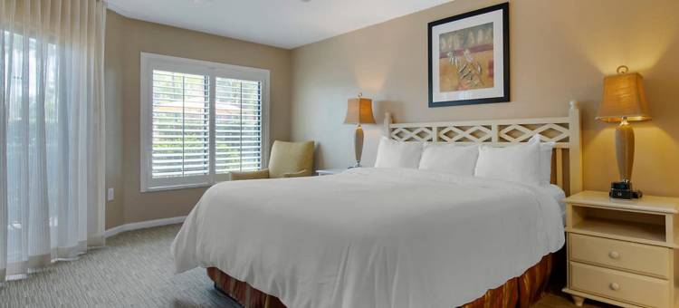 蓝绿假期奥兰多阳光度假村，阿桑德连锁(Bluegreen Vacations Orlando's Sunshine, Ascend Collection Resort)图片