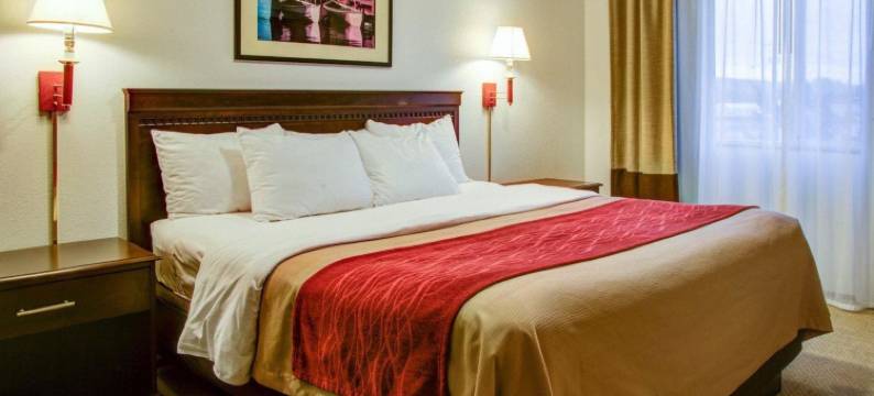 凯艺酒店(Quality Inn Florence)图片