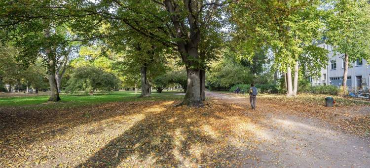 科隆弗里森广场酸橙家(Limehome Köln Friesenplatz - Digital Access)图片