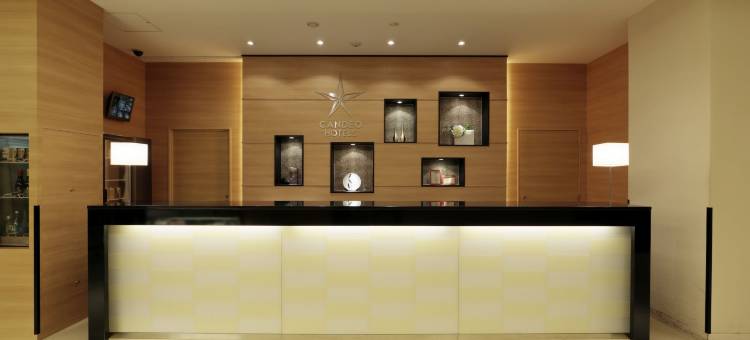 大津熊本机场光芒酒店(CANDEO HOTELS)(Candeo Hotels Ozu Kumamoto Airport)图片