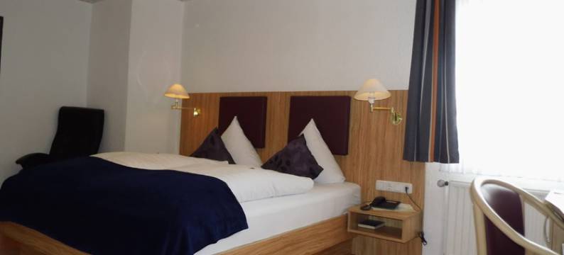 威尔登格尔霍夫酒店(Hotel Wildunger Hof Mit Gemeinschaftsküche)图片