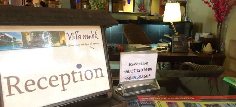 莫莱克别墅酒店(Villa Molek)图片