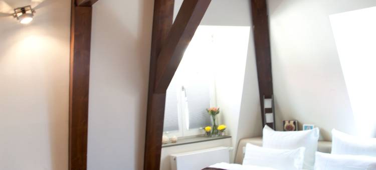 贝根扎伯纳城堡酒店(Schlosshotel Bergzaberner Hof)图片