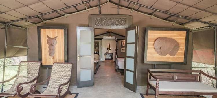 韦帕图花豹小径旅馆(Leopard Trails Wilpattu)图片