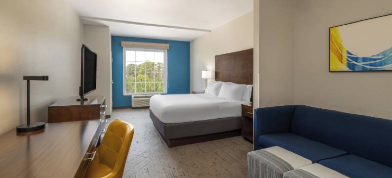 智选假日套房酒店艾肯SC(Holiday Inn Express & Suites AIKEN by IHG)图片