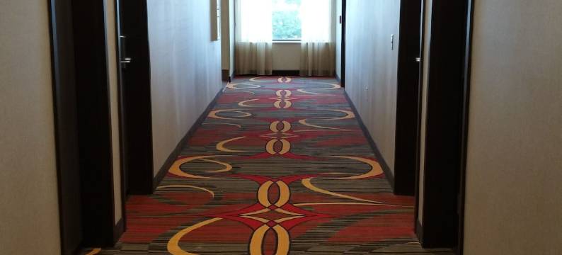 得克萨斯州休斯顿/阿塔斯卡西亚欢朋套房酒店(Hampton Inn & Suites Houston/Atascocita)图片