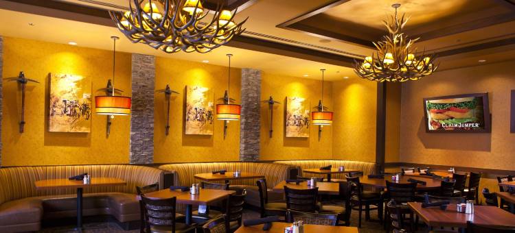 查尔斯湖金矿酒店(Golden Nugget Lake Charles)图片