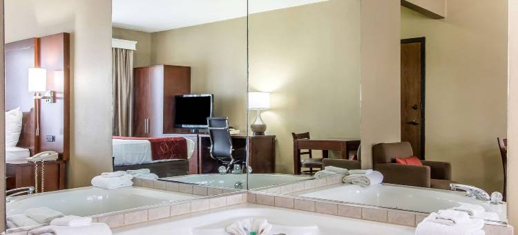 埃芬汉舒适套房酒店(Comfort Suites Effingham)图片